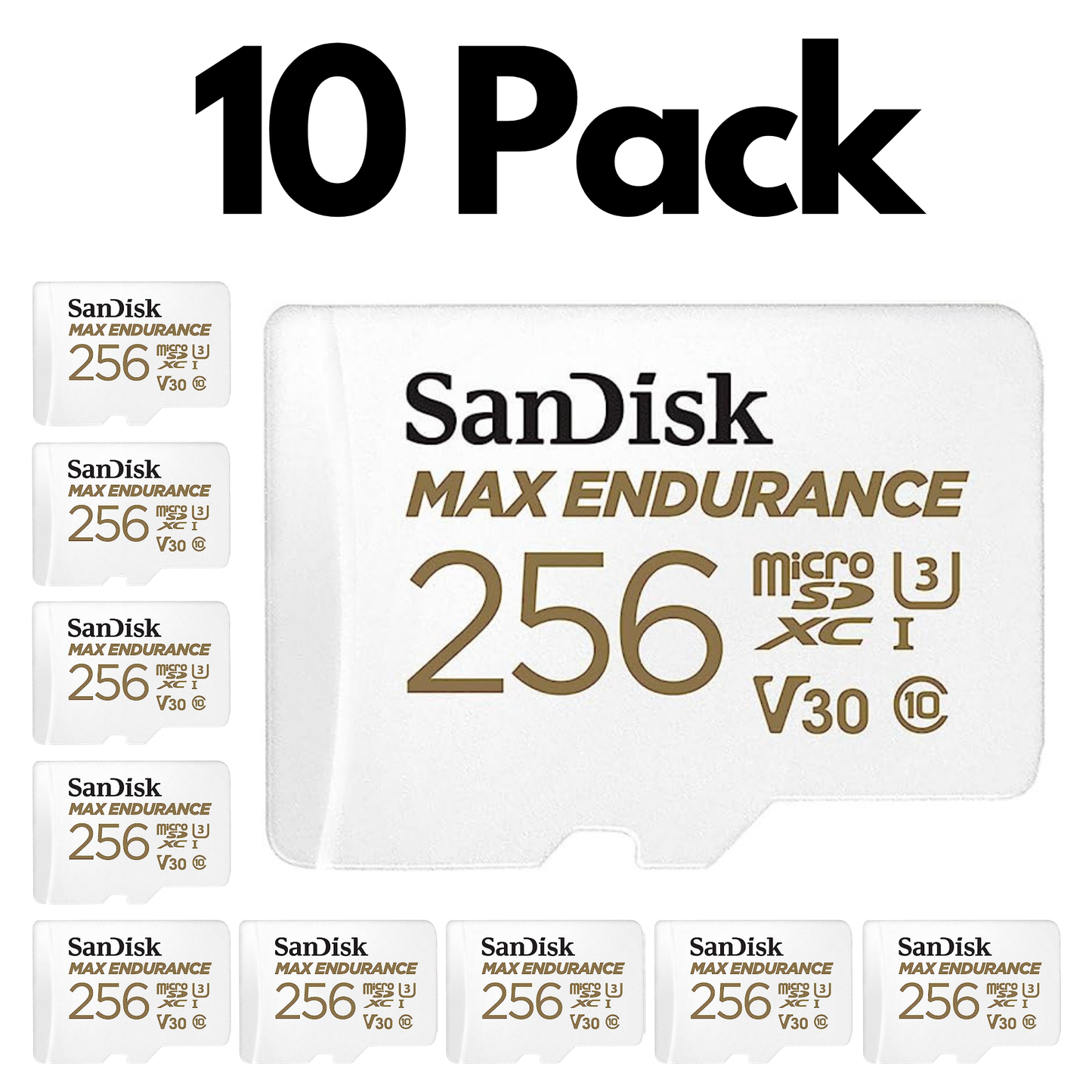10 Pack SanDisk MAX Endurance microSDXC UHS-I Memory Card with SD Adapter – U3, C10, V30